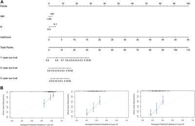 Establishment and validation of a prognostic signature for pancreatic ductal adenocarcinoma based on lactate metabolism-related genes